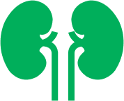 Urology